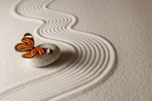 In the fleeting passage of a butterfly, hope for all those who are grieving