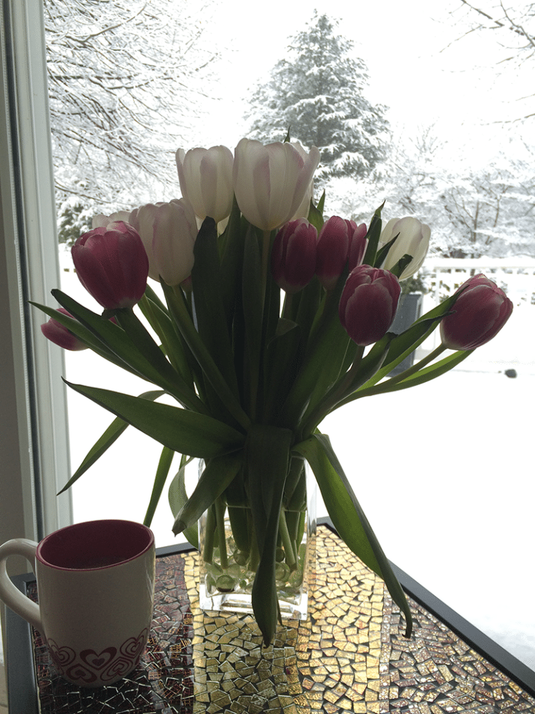 snow-day-tulips