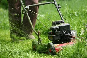 Do You Mow the Lawn or Cut the Grass? 