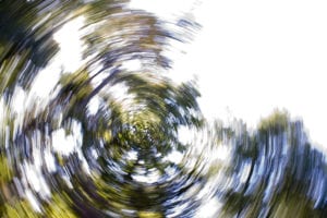 Dizzy and Disoriented—by Choice