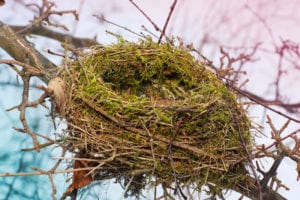 Five Words that Fill an Empty Nest