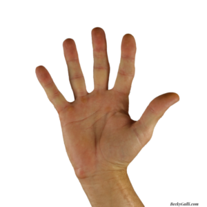 The Five People Who Average You