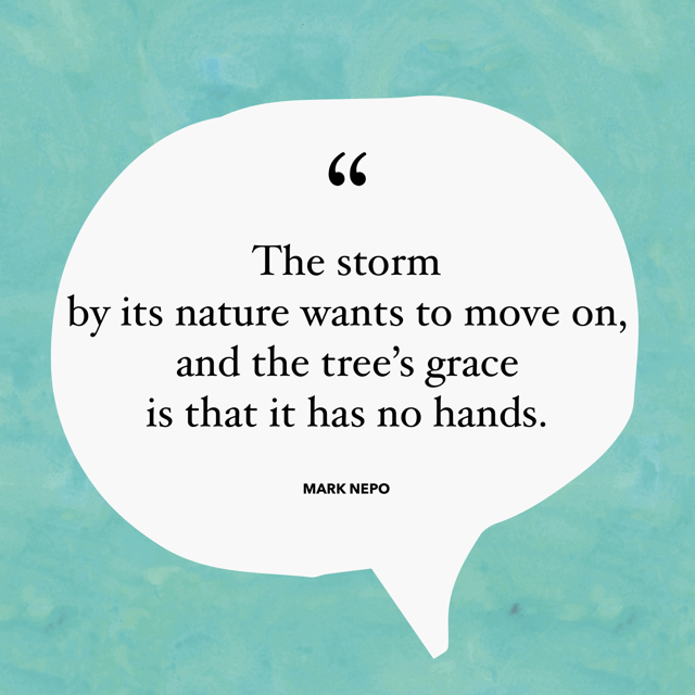 The storm by its nature wants to move on, and the tree’s grace is that it has no hands. – Mark Nepo