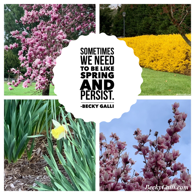 Sometimes we need to be like spring and persist – Becky Galli