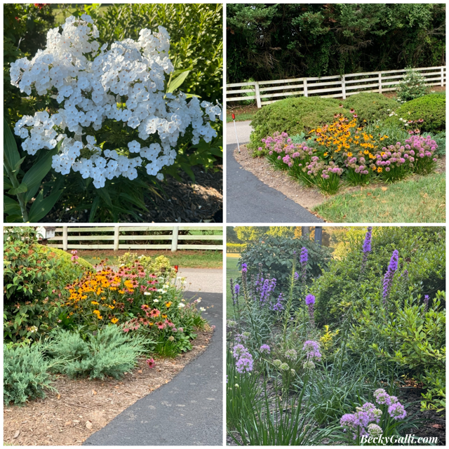 Driveway Flower Collage