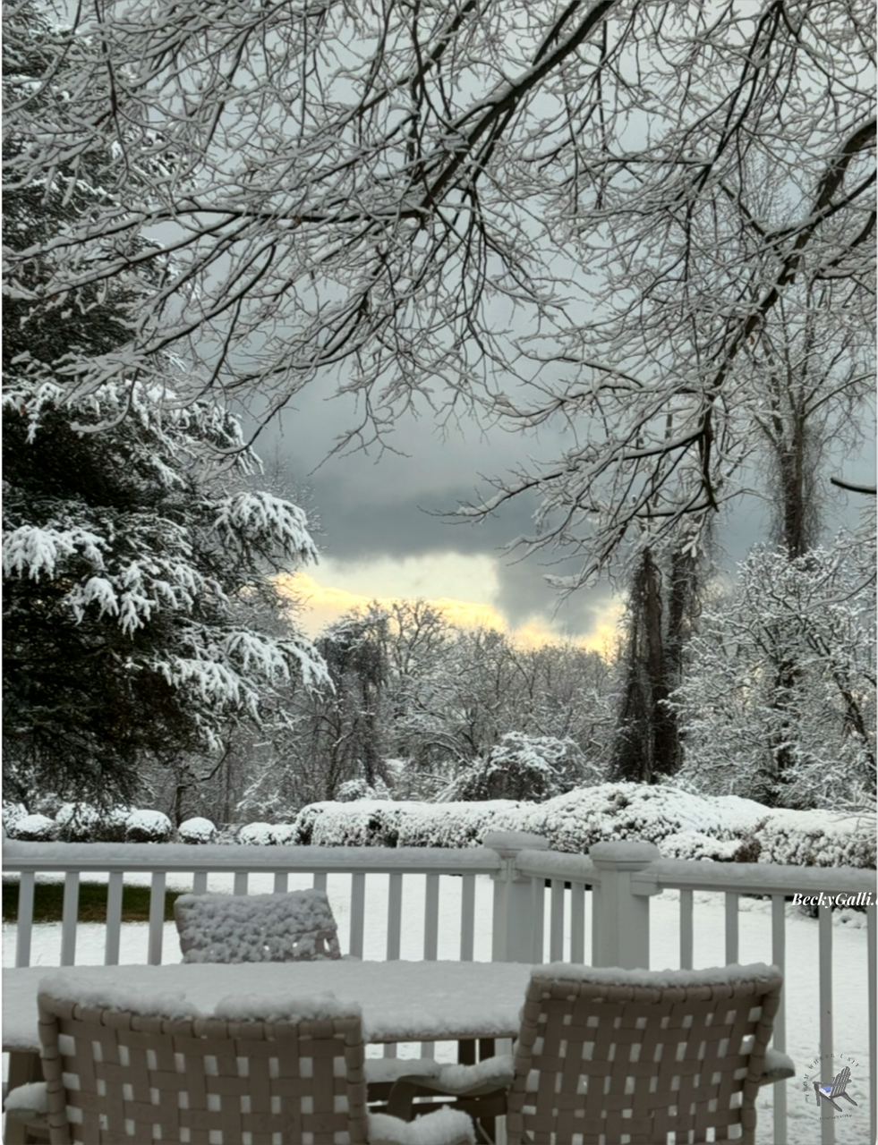 Snow Excitement