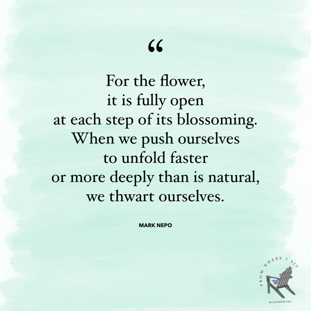 For the flower, it is fully open at each step of its blossoming. When we push ourselves to unfold faster or more deeply than is natural, we thwart ourselves. –Mark Nepo